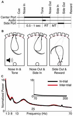 Interactions Between Motor Thalamic Field Potentials and Single-Unit Spiking Are Correlated With Behavior in Rats